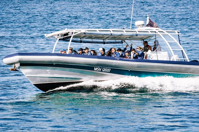 Cruise With Dolphins in Byron Bay - Additional Reviews
