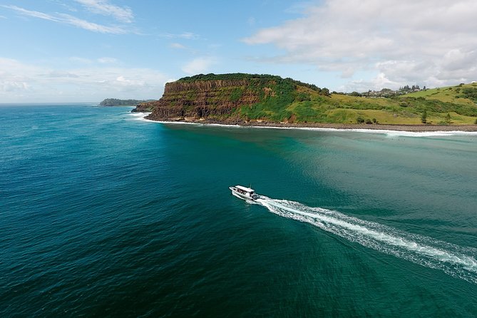 Cruise With Dolphins in Byron Bay - Common Questions