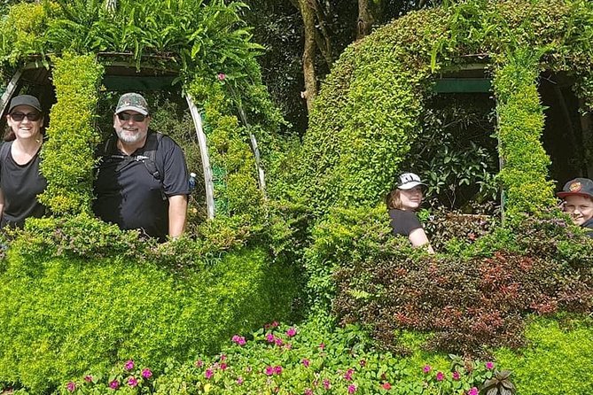 Cruiseship Trip to GOLDEN BRIDGE BA NA HILLS From CHAN MAY or TIEN SA Port - Transportation and Transfers