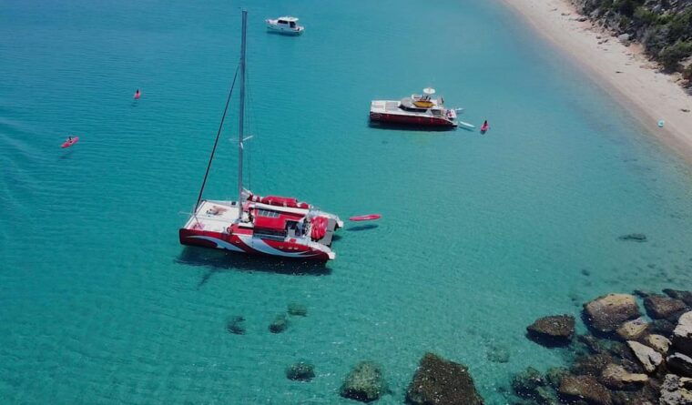 Cruising on a Sailing Maxi-Catamaran - Booking Information and Policies