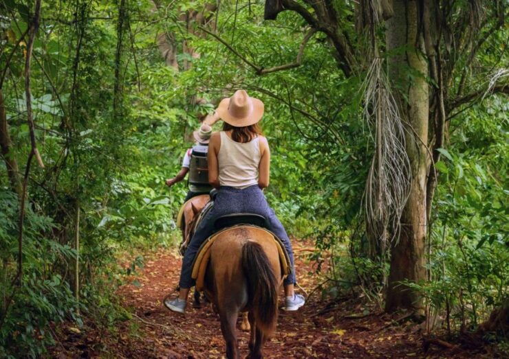 Cruseilles: Horseback Riding in the Countryside - Activity Details