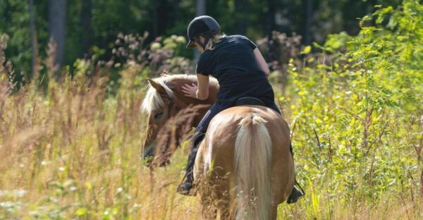 Cruseilles: Horseback Riding in the Countryside - Directions