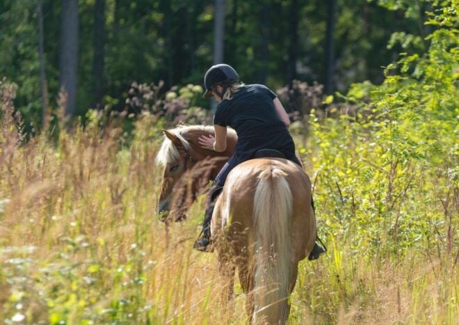 Cruseilles: Horseback Riding in the Countryside - Safety Guidelines