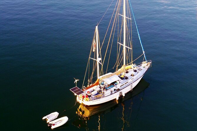 Cruz Bay Three-Hour Private Snorkeling Cruise (Feb ) - Activity Details