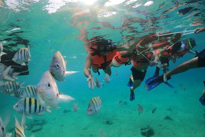 Crystal Boat Tour to San Miguel de Cozumel with Snorkeling - Frequently Asked Questions
