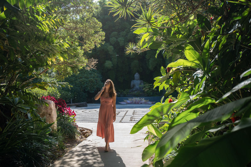 Crystal Castle & Shambhala Gardens - Planning Around the Daily Sessions