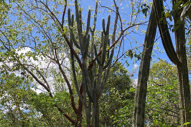 Crystal clear cave: An unforgettable snorkeling - Final Thoughts