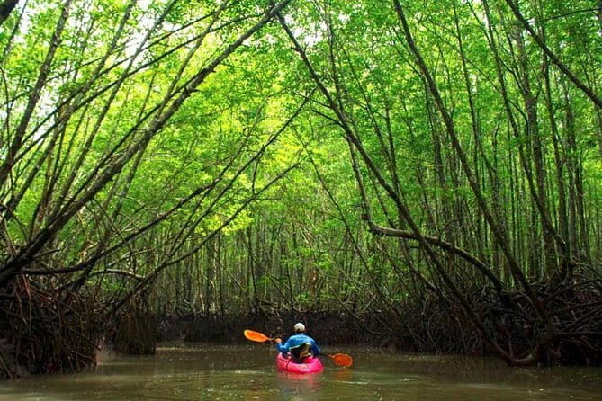 Crystal Clear Kayak Tour in Krabi - Final Thoughts
