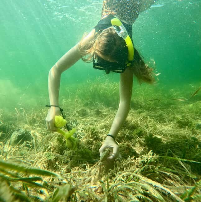 Crystal River: All Inclusive Premier Scalloping Tour - Crystal River: All Inclusive Premier Scalloping Tour – An Authentic Florida Experience