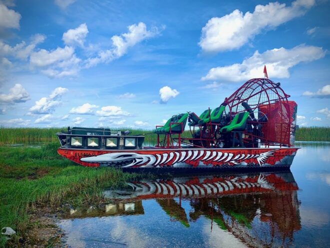Crystal River: Backwater Adventure on an Airboat - Tour Highlights