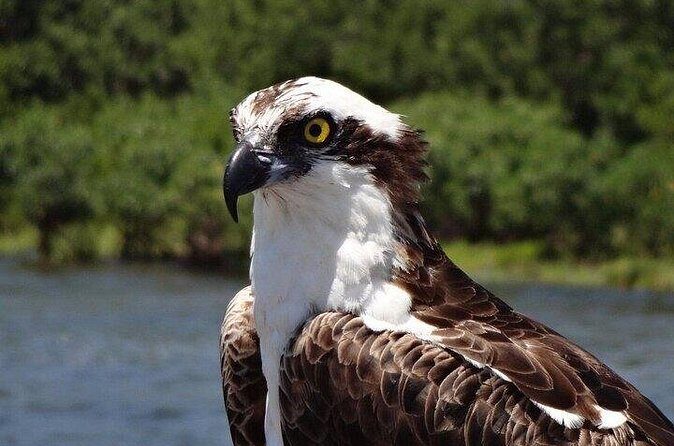 Crystal River Boat and Nature Tour - Value and Pricing Analysis