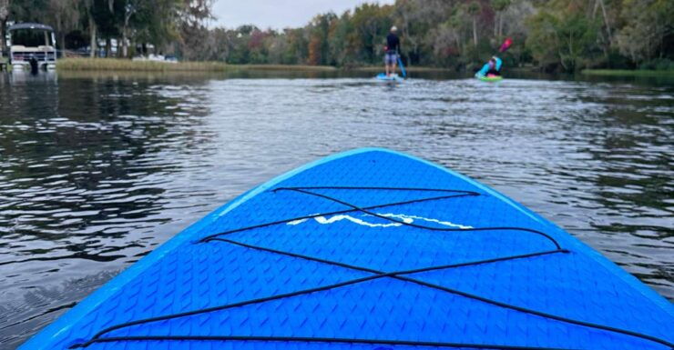 Crystal River: Clear Bottom Kayak or Paddleboard Eco Tour - Tour Duration and Cancellation Policy