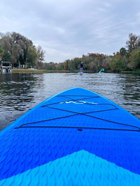 Crystal River: Clear Bottom Kayak or Paddleboard Eco Tour - Experience Highlights and Encounter Opportunities