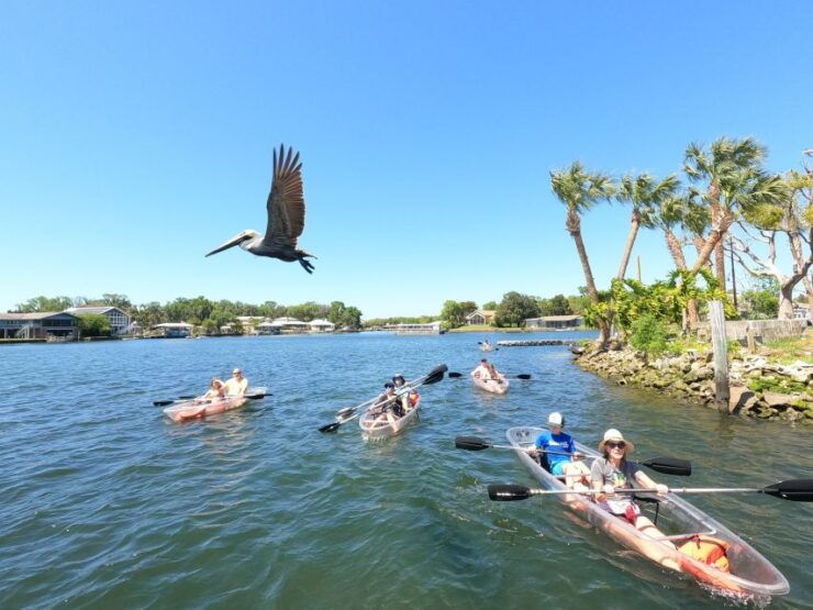 Crystal River: Clear Kayak Manatee Ecotour - Good To Know