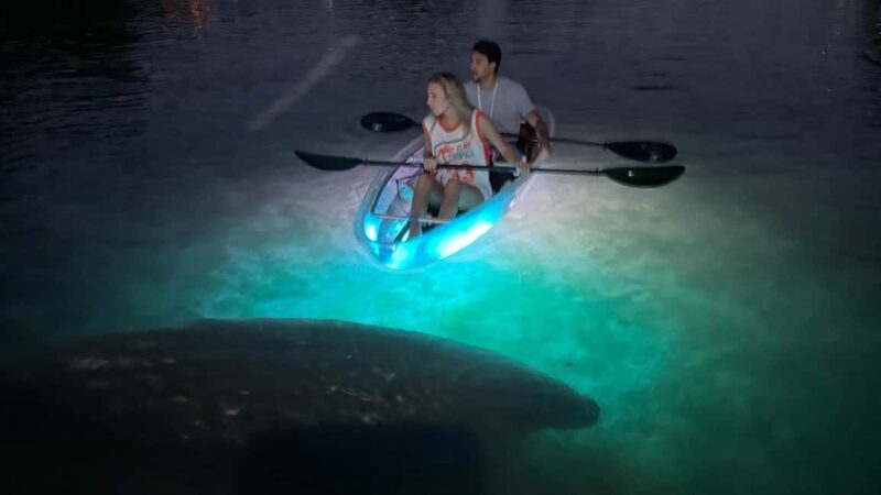 Crystal River: Clear Kayak Sunset & Night Glow Tour - An In-Depth Look at the Tour Experience