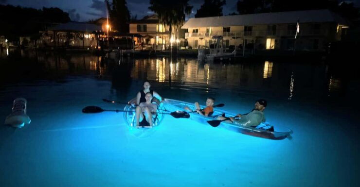 Crystal River Clear Kayak Sunset & Night Glow Tour - Activity Details