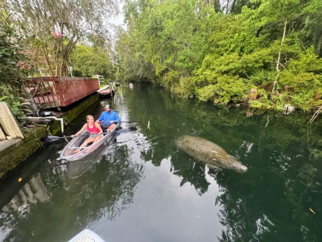 Crystal River Clear Kayak Sunset & Night Glow Tour - Meeting and Arrival