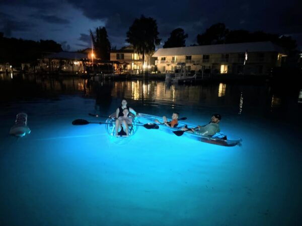 Crystal River Clear Kayak Sunset & Night Glow Tour - Wildlife Sightings