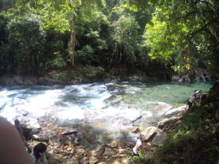 Crystal River: Crystalline Waters, Stunning Landscapes - Highlights of the Crystal River Tour