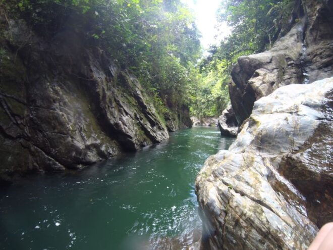 Crystal River: Crystalline Waters, Stunning Landscapes - Activities to Enjoy at Crystal River