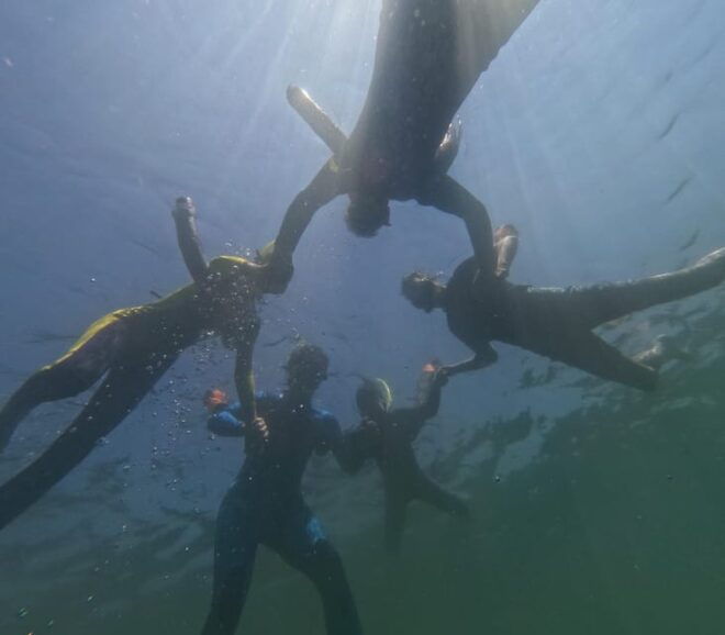 Crystal River: Guided Manatee Snorkeling Tour - Important Guidelines and Restrictions