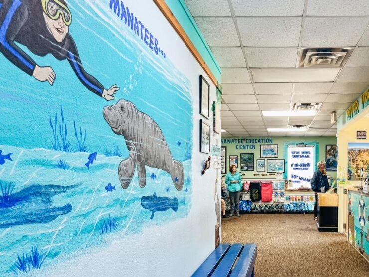 Crystal River: Manatee Snorkel Tour W/ In-Water Photographer - Good To Know
