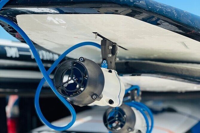 Crystal River Reserve State Park Electric Paddleboard Rentals - Good To Know