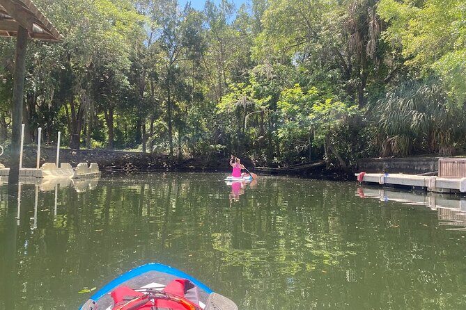 Crystal River Reserve State Park Electric Paddleboard Rentals - Why This Tour Might Be Perfect for You