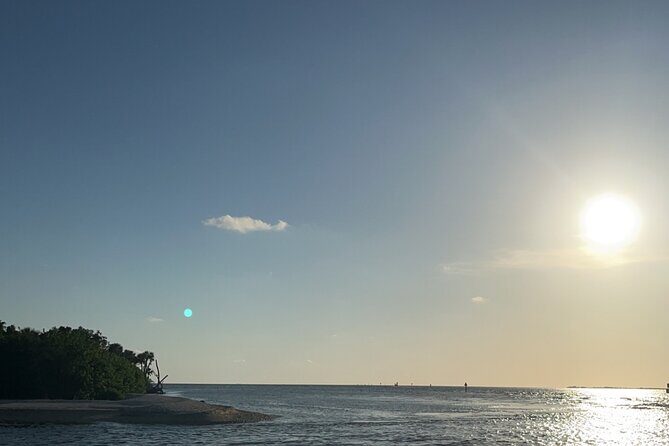 Crystal River Shell Island Adventure - Crystal River Shell Island Adventure Review