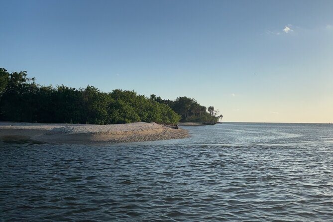 Crystal River Shell Island Adventure - Why This Tour Offers Great Value