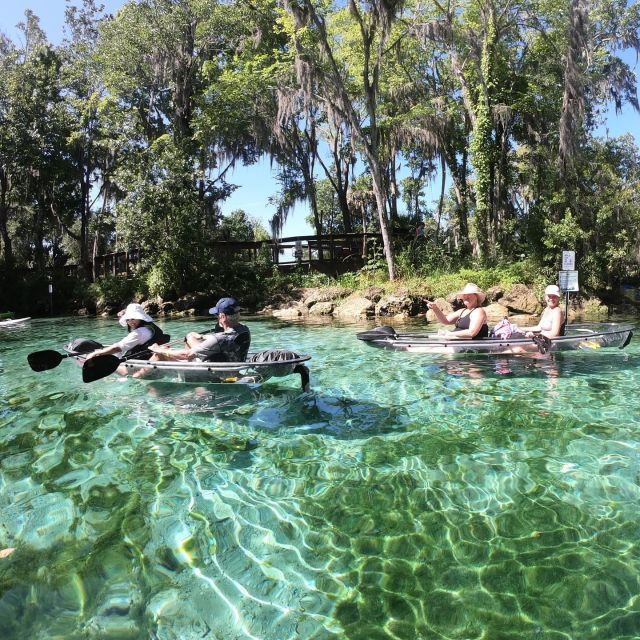 Crystal River: Springs and Manatees Clear Kayak Tour - Tour Details