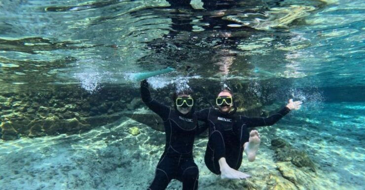 Crystal River: Springs Snorkeling Tour - Good To Know