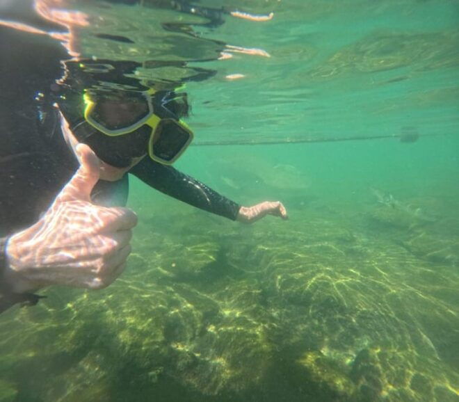 Crystal River: Springs Snorkeling Tour - Booking Information