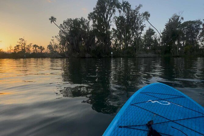 Crystal River Sunrise Manatee Clear Kayak Tour - Good To Know