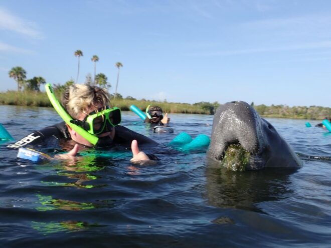 Crystal River: VIP Manatee Swim W/ In-Water Photographer - Participant and Date Selection