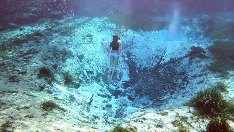 Crystal River:Three Sisters Springs Guided Kayak & Swim Tour - FAQ