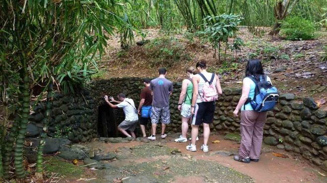 CU CHI TUNNEL & MEKONG DELTA (1 DAY TOUR) - Accessibility Features
