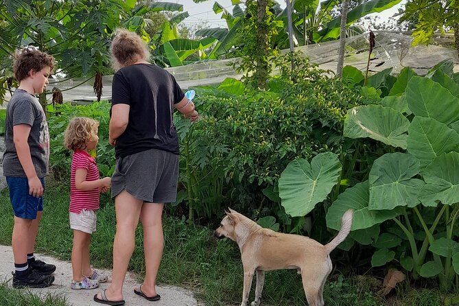 Cu Chi Tunnel, Vietnamese Cooking & Countryside Bike Ride - Vietnamese Cooking Class