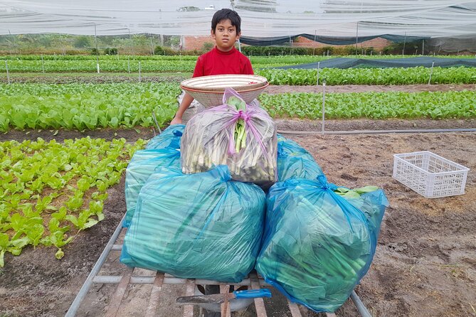Cu Chi Tunnel, Vietnamese Cooking & Countryside Bike Ride - Traveler Photos and Reviews