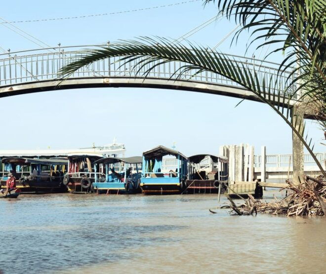 Cu Chi Tunnels and Mekong Delta 1 Day Trip - Participant Restrictions