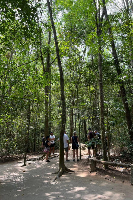 Cu Chi Tunnels Exploration - Experience Highlights