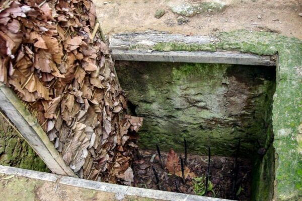 Cu Chi Tunnels & Ho Chi Minh City Tour Full Day - Frequently Asked Questions