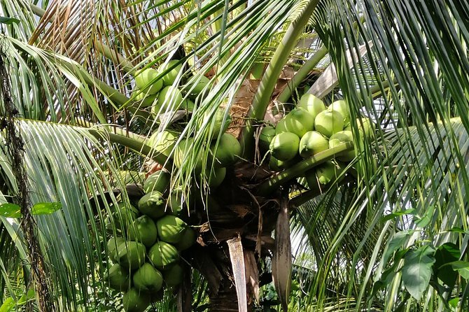 Cu Chi Tunnels & Mekong Delta 1 Day - Small Group - Tour Details