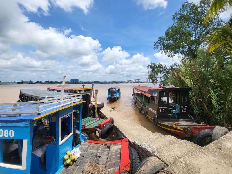 Cu Chi Tunnels & Mekong Delta Day Tour with Deluxe Transfer Option - Who should book this day trip?