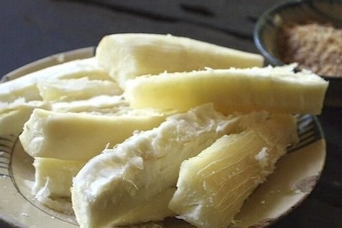 Cu Chi Tunnels & Mekong Delta VIP Private Tour Full Day - Cu Chi Tunnels Experience