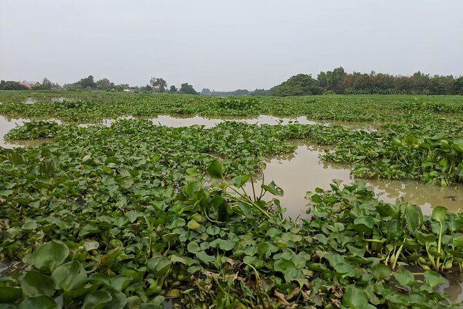 Cu Chi Tunnels & Mekong Delta VIP Private Tour Full Day - Mekong Delta Discovery