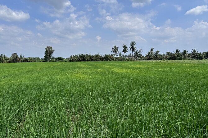 Cu Chi Tunnels & Mekong Eco Tour: Non-Touristy and Small Group - Good To Know