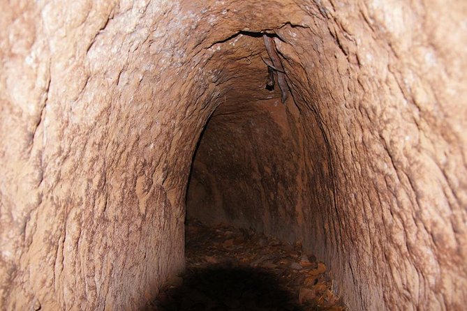 Cu Chi Tunnels Private Half-Day Tour - Reviews