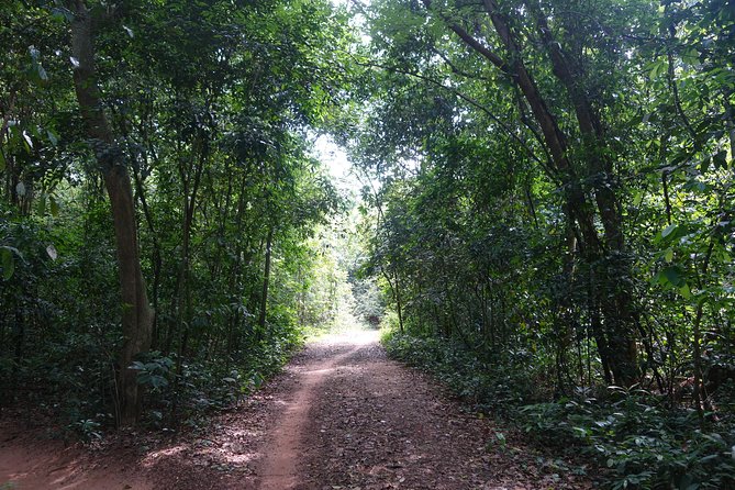 Cu Chi Tunnels Private Half-Day Tour - Tips and Recommendations