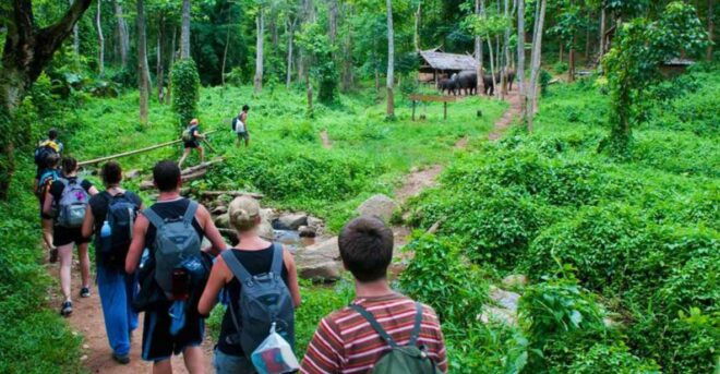 Cuc Phuong National Park 1 Day Trip - The Sum Up and Final Thoughts